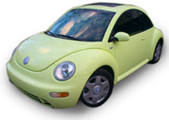 Pugs in Bug